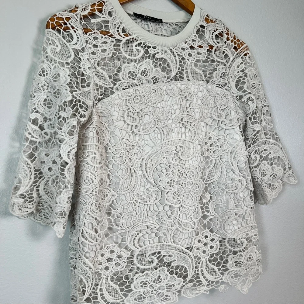 Zara Light Gray Lace Crochet with Inlay 3/4 Sleeve Top - Picture 3 of 6